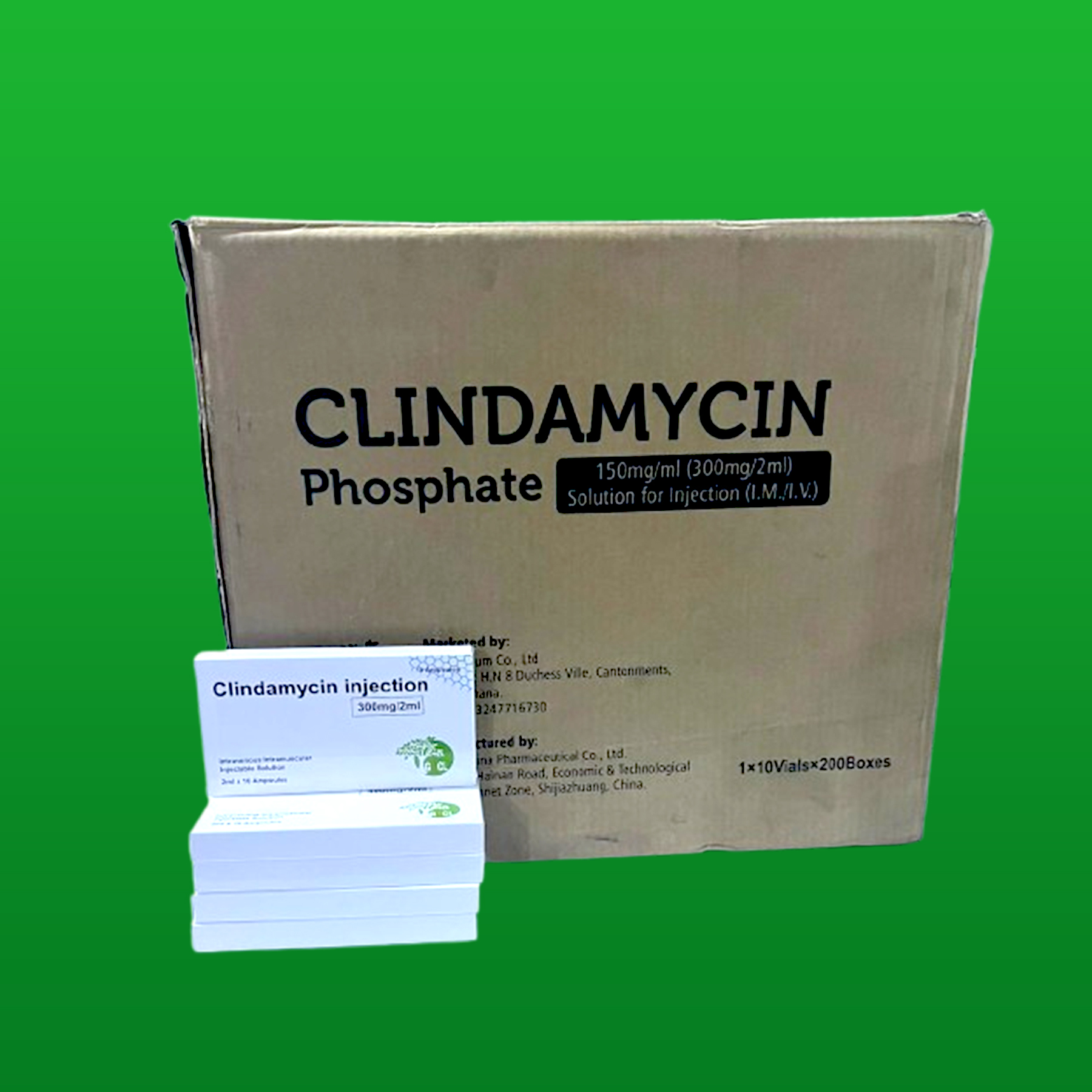 Clindamycin   Antibiotics